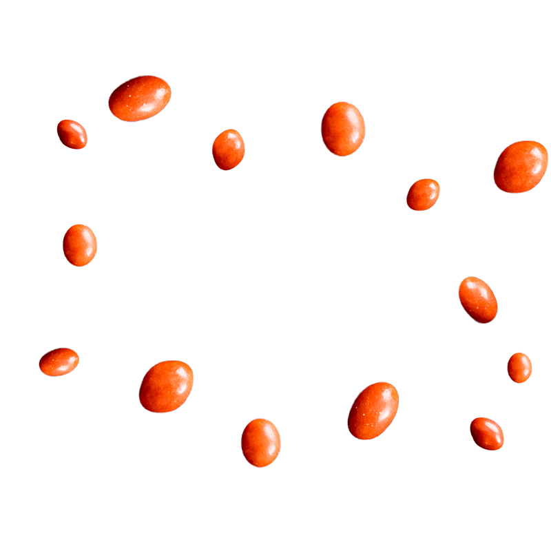 Boston Baked Beans